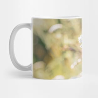 White Yarrow Flowers and Golden Grasses Glowing in Sunshine Mug